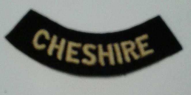 Civil Defence Division Badge