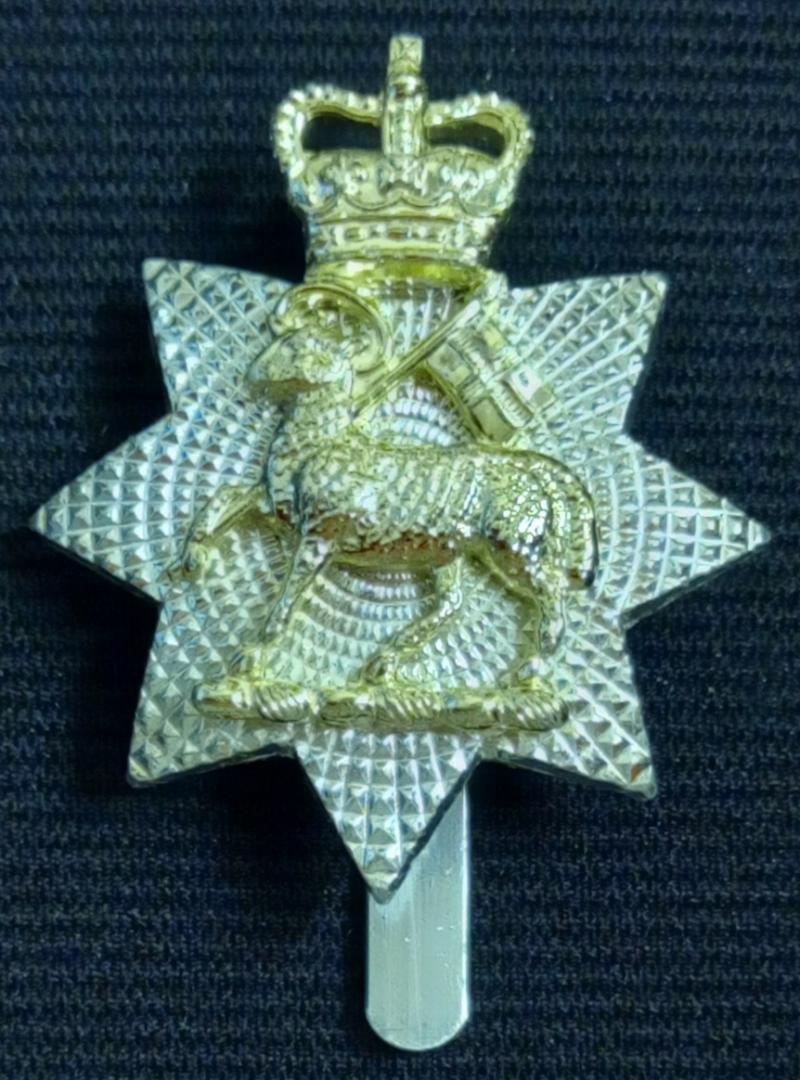 QUEENS ROYAL SURREY REGIMENT