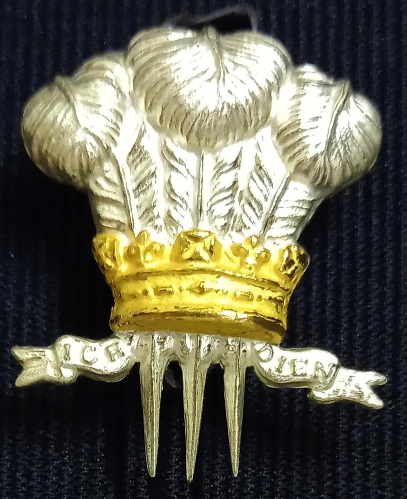 10TH (P.O.W.ROYAL REGT)