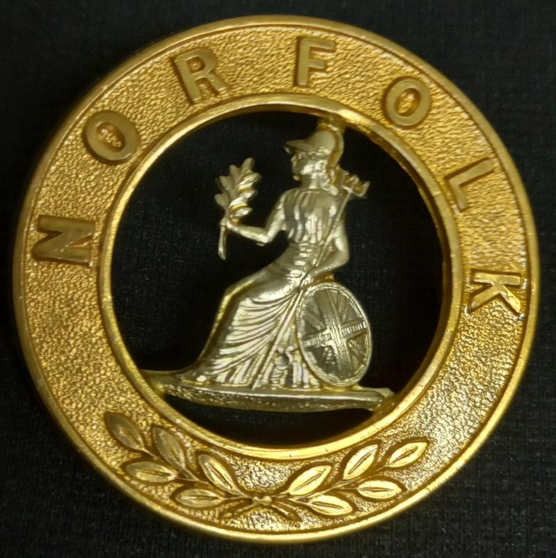 THE NORFOLK REGT