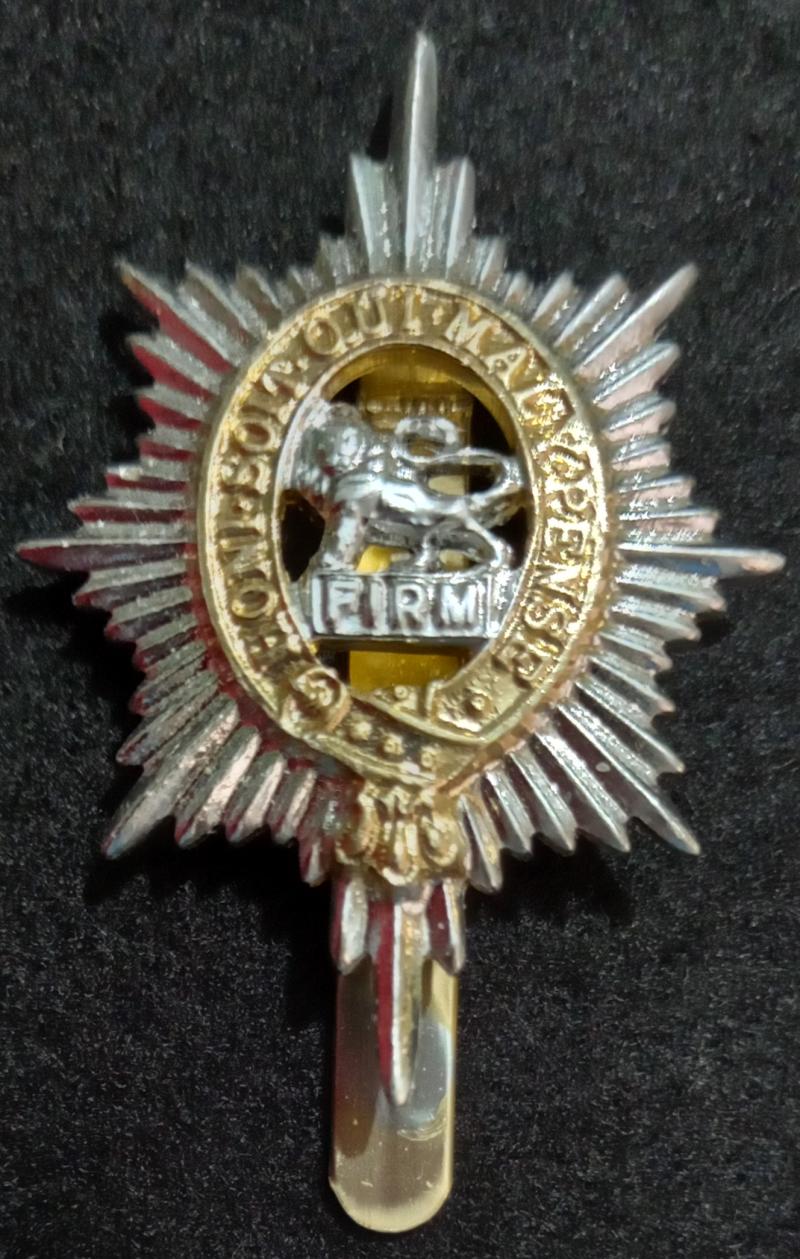 WORCESTERSHIRE REGIMENT