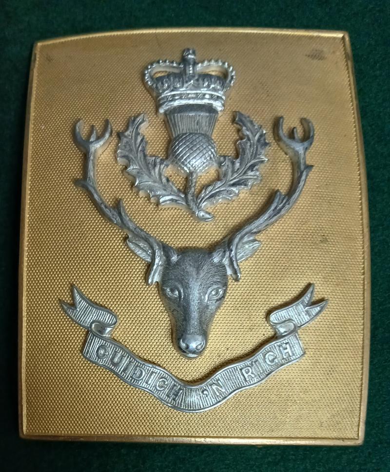 THE QUEEN’S OWN HIGHLANDERS (Seaforth and Camerons)