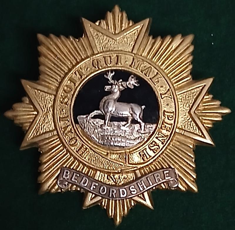 THE BEDFORDSHIRE REGIMENT: