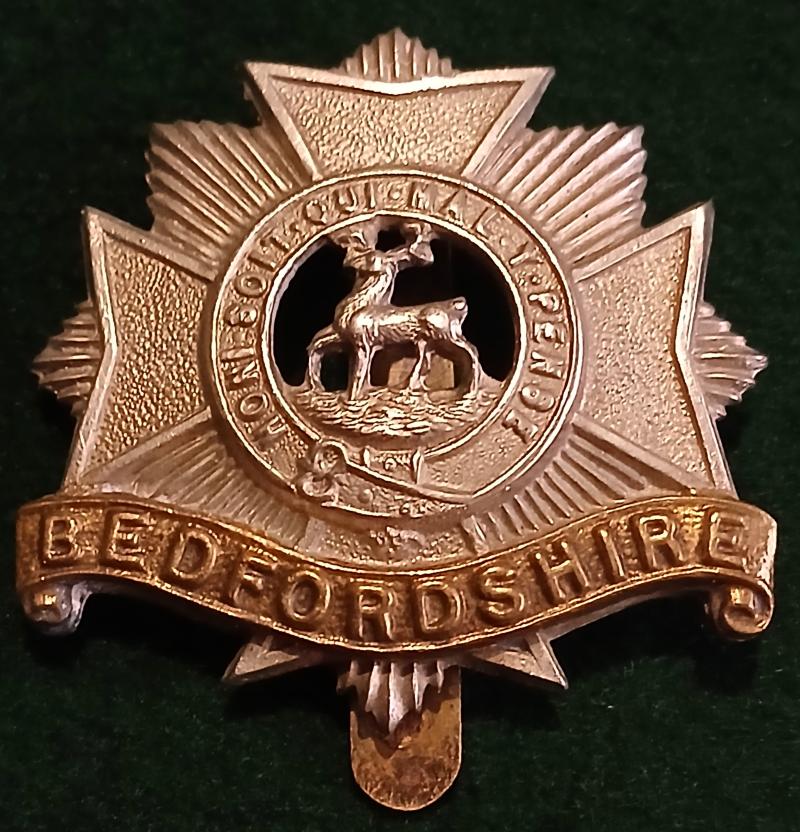 THE BEDFORDSHIRE REGT