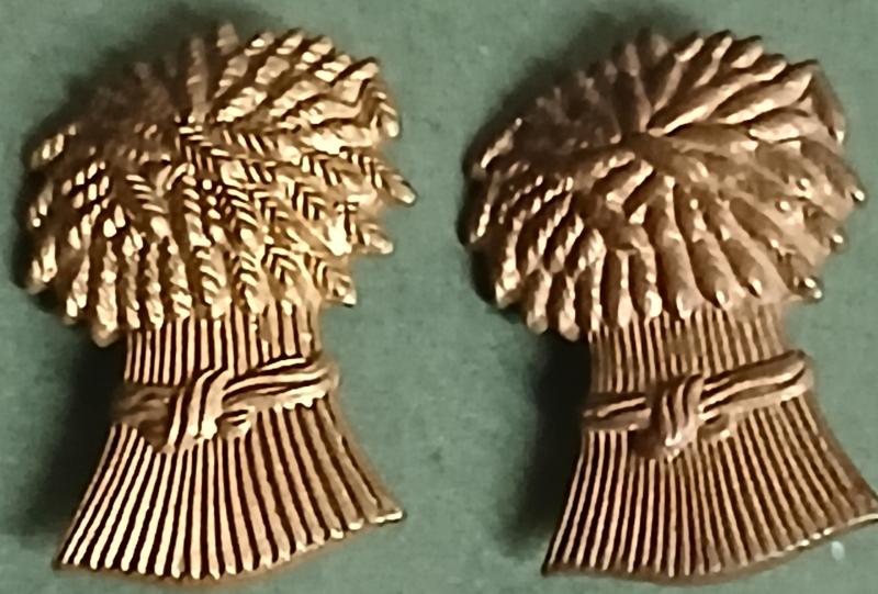THE LOTHIAN & BORDER HORSE (YEOMANRY)