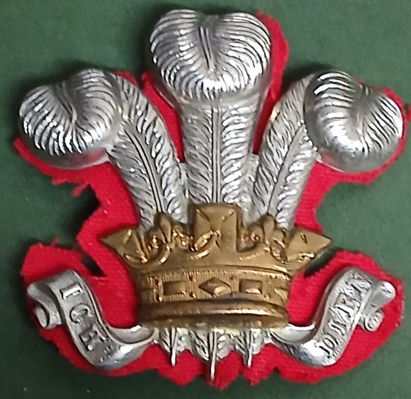 THE WILTSHIRE YEOMANRY