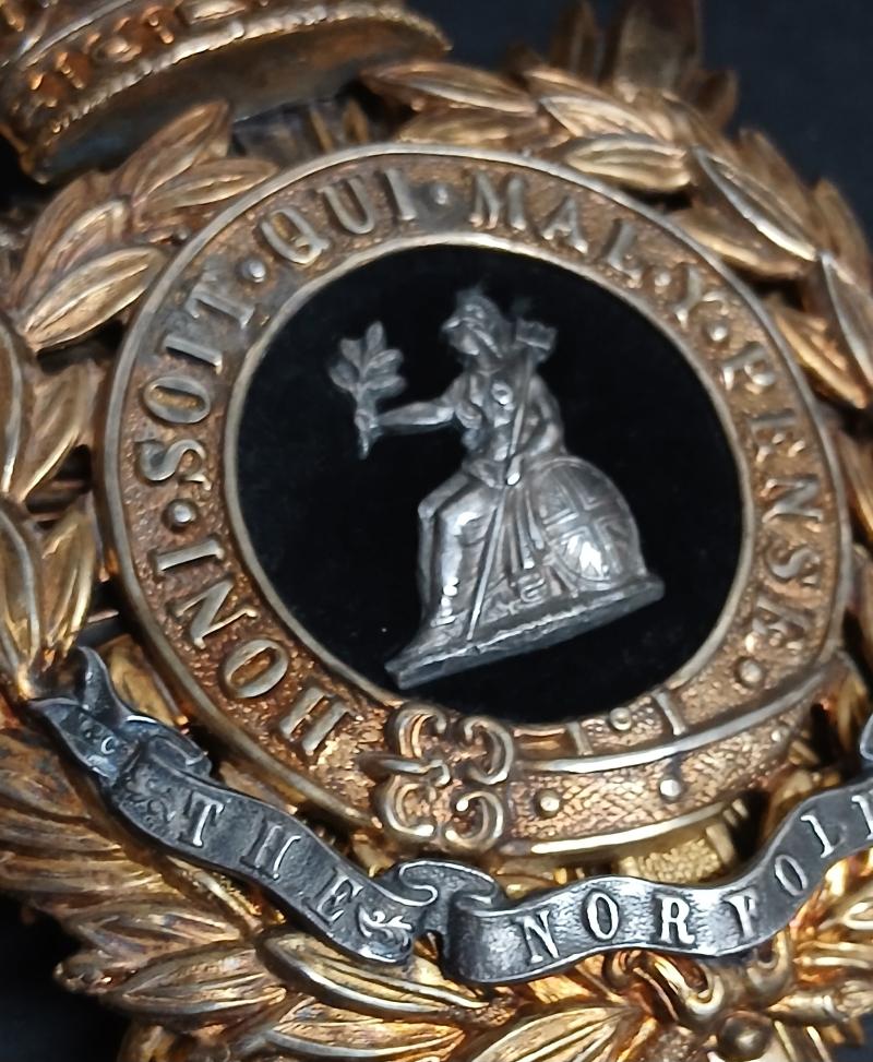 THE NORFOLK  REGIMENT .
