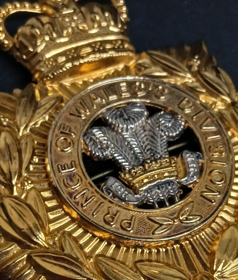 THE PRINCE OF WALES'S DIVISION